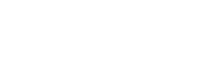 Logo PremieR — rações disponíveis no Pet Shop Lambeijos em Castelo - BH
